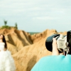 A Guide to Post Processing in Wedding Photography